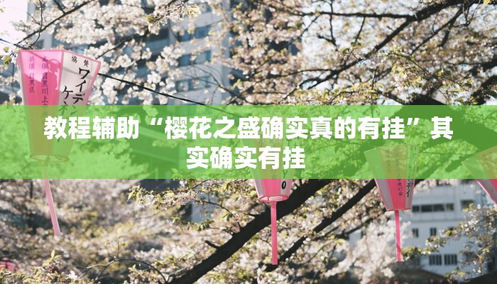 教程辅助“天天福建十三张怎么开挂”(详细透视教程)-知乎