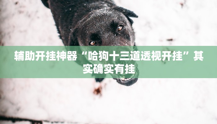 辅助神器“太浪镇赉麻将怎么下挂”其实确实有挂 辅助神器“太浪镇赉麻将怎么下挂”其实确实有挂