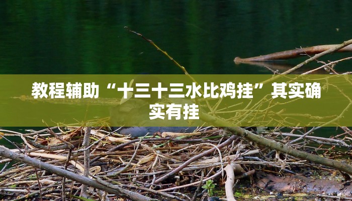 辅助开挂神器“秦皇岛麻将有挂吗”其实确实有挂 辅助开挂神器“秦皇岛麻将有挂吗”其实确实有挂