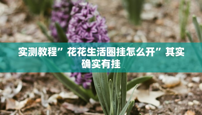 万能开挂辅助“星星武汉麻将究竟有透视挂吗”(透视)其实确实有挂