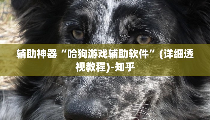 辅助神器“懒人斗十四辅助”其实确实有挂 
