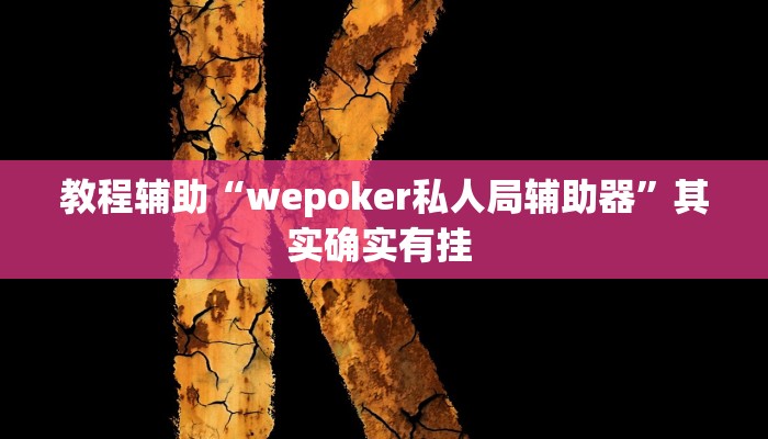 辅助开挂神器“广西八一字牌透视辅助器”(透视)其实确实有挂