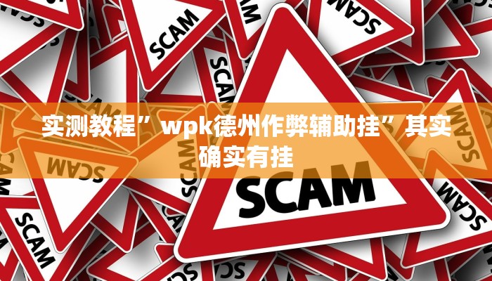实测教程”wpk德州作弊辅助挂”其实确实有挂 实测教程”wpk德州作弊辅助挂”其实确实有挂