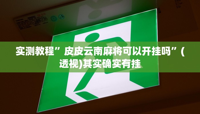 实测教程”皮皮云南麻将可以开挂吗”(透视)其实确实有挂 实测教程”皮皮云南麻将可以开挂吗”(透视)其实确实有挂