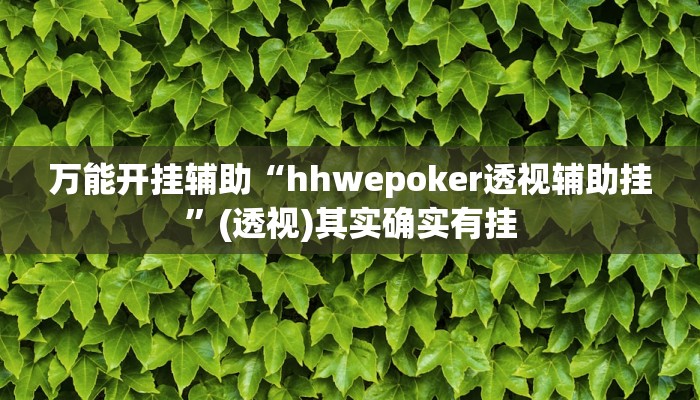 实测教程”家乡大贰开挂器”(透视)其实确实有挂 实测教程”家乡大贰开挂器”(透视)其实确实有挂