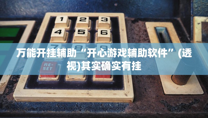 万能开挂辅助“开心游戏辅助软件”(透视)其实确实有挂