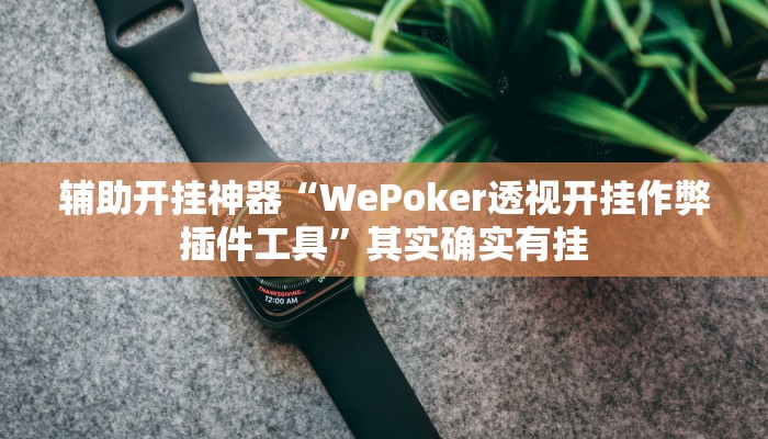 万能开挂辅助“友友沛县麻将可以开挂吗”(透视)其实确实有挂 万能开挂辅助“友友沛县麻将可以开挂吗”(透视)其实确实有挂