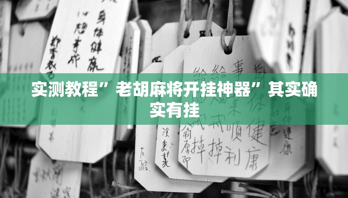 实测教程”老胡麻将开挂神器”其实确实有挂 实测教程”老胡麻将开挂神器”其实确实有挂