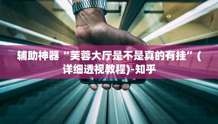 辅助神器“芙蓉大厅是不是真的有挂”(详细透视教程)-知乎 辅助神器“芙蓉大厅是不是真的有挂”(详细透视教程)-知乎