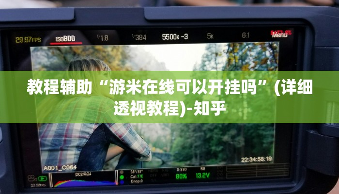 教程辅助“游米在线可以开挂吗”(详细透视教程)-知乎 教程辅助“游米在线可以开挂吗”(详细透视教程)-知乎