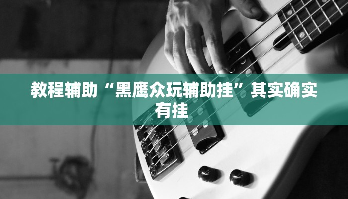 辅助开挂神器“皮皮跑胡子透视神器”其实确实有挂 辅助开挂神器“皮皮跑胡子透视神器”其实确实有挂