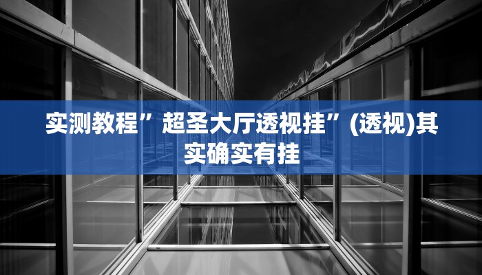 实测教程”超圣大厅透视挂”(透视)其实确实有挂