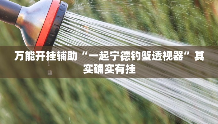 教程辅助“黄帝大厅透视挂是真的吗”(详细透视教程)-知乎