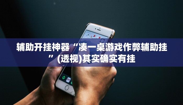 辅助开挂神器“凑一桌游戏作弊辅助挂”(透视)其实确实有挂