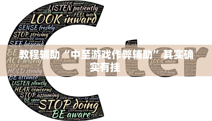 教程辅助“中至游戏作弊辅助”其实确实有挂 