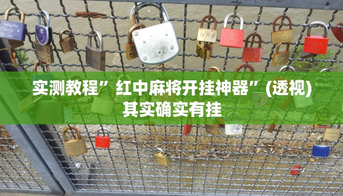 实测教程”红中麻将开挂神器”(透视)其实确实有挂