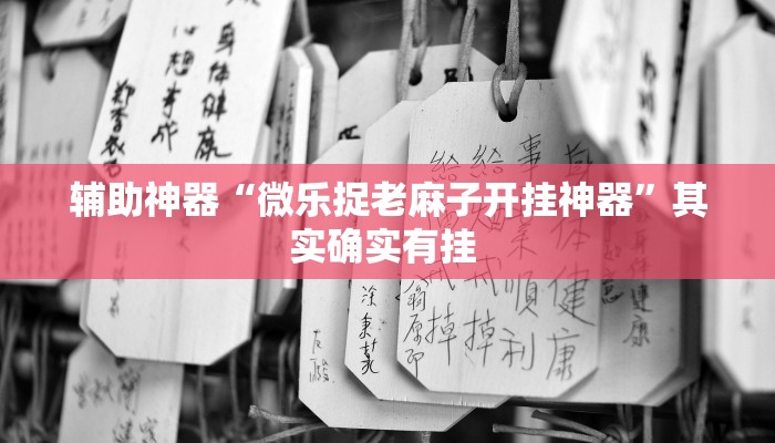 辅助神器“微乐捉老麻子开挂神器”其实确实有挂 辅助神器“微乐捉老麻子开挂神器”其实确实有挂