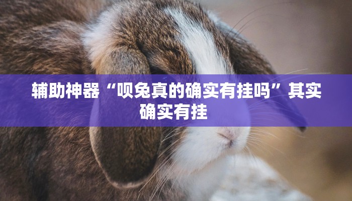 辅助神器“呗兔真的确实有挂吗”其实确实有挂 