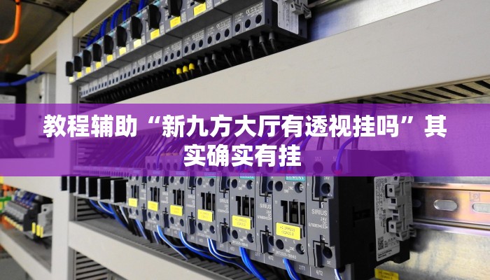 教程辅助“新九方大厅有透视挂吗”其实确实有挂 