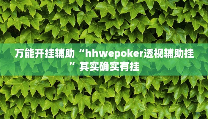 万能开挂辅助“hhwepoker透视辅助挂”其实确实有挂