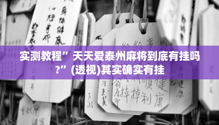 实测教程”天天爱泰州麻将到底有挂吗?”(透视)其实确实有挂 实测教程”天天爱泰州麻将到底有挂吗?”(透视)其实确实有挂