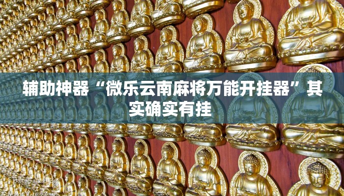 教程辅助“余干中至麻将外卦神器下载安装”(详细透视教程)-知乎