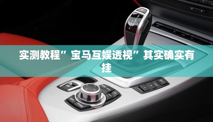 实测教程”宝马互娱透视”其实确实有挂