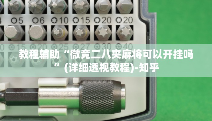 教程辅助“微竞二八夹麻将可以开挂吗”(详细透视教程)-知乎
