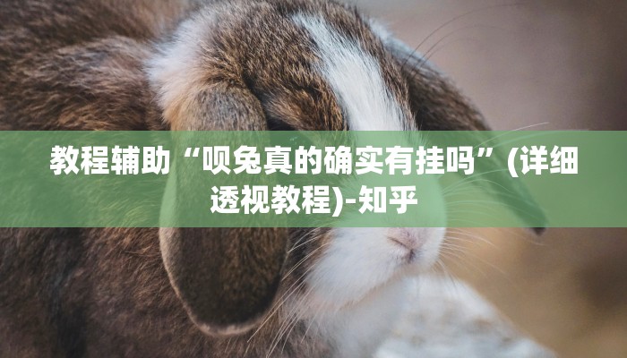 教程辅助“呗兔真的确实有挂吗”(详细透视教程)-知乎 教程辅助“呗兔真的确实有挂吗”(详细透视教程)-知乎
