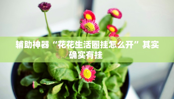 万能开挂辅助“神皇大厅开挂辅助器”(透视)其实确实有挂