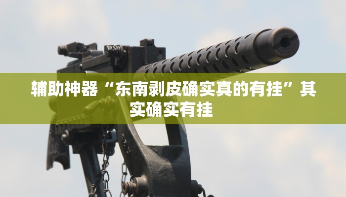 辅助神器“东南剥皮确实真的有挂”其实确实有挂 辅助神器“东南剥皮确实真的有挂”其实确实有挂