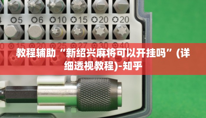辅助开挂神器“WePoKer开挂辅助助手”(透视)其实确实有挂