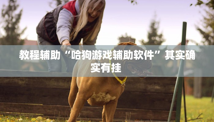 辅助开挂神器“多乐麻将小程序开挂必赢神器”其实确实有挂
