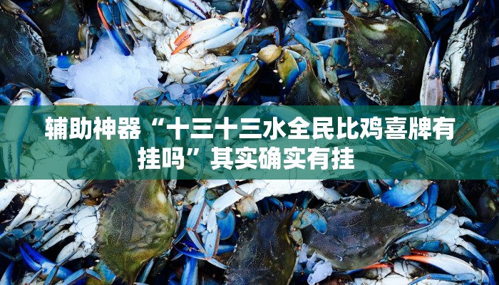 万能开挂辅助“白金岛字牌集是怎么开挂的”其实确实有挂 万能开挂辅助“白金岛字牌集是怎么开挂的”其实确实有挂