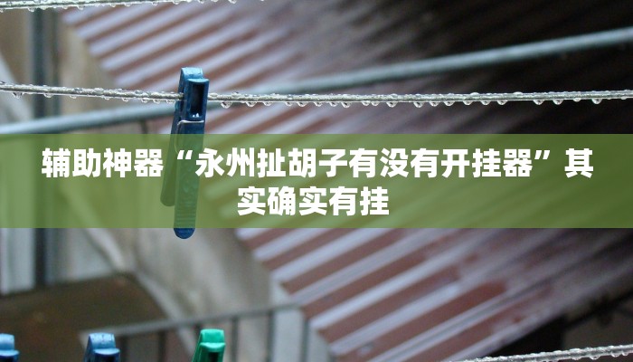 辅助神器“衢州都莱罗松十三张系统老让你输”(详细透视教程)-知乎