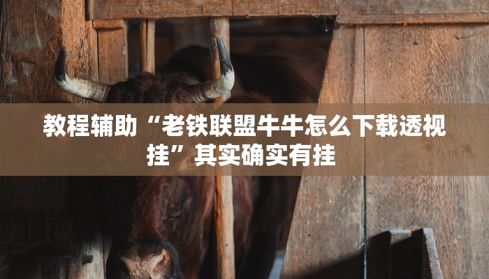 辅助神器“蜀渝牌乐汇免费挂”(详细透视教程)-知乎 辅助神器“蜀渝牌乐汇免费挂”(详细透视教程)-知乎