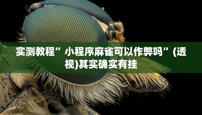 辅助神器“微乐陕西麻将免费开挂神器”(详细透视教程)-知乎