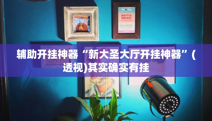 辅助开挂神器“wepoker漏洞”(透视)其实确实有挂