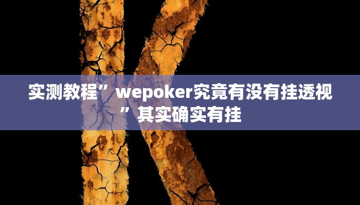 实测教程”wepoker究竟有没有挂透视”其实确实有挂