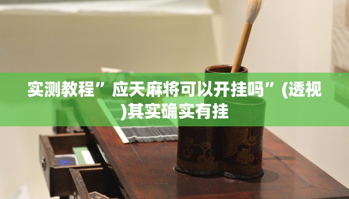 实测教程”应天麻将可以开挂吗”(透视)其实确实有挂 实测教程”应天麻将可以开挂吗”(透视)其实确实有挂