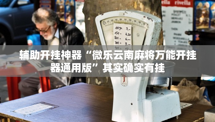 辅助开挂神器“微乐云南麻将万能开挂器通用版”其实确实有挂 辅助开挂神器“微乐云南麻将万能开挂器通用版”其实确实有挂