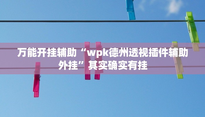 万能开挂辅助“wpk德州透视插件辅助外挂”其实确实有挂