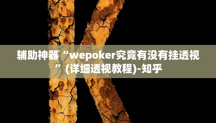 辅助神器“wepoker究竟有没有挂透视”(详细透视教程)-知乎 辅助神器“wepoker究竟有没有挂透视”(详细透视教程)-知乎