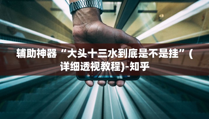 辅助神器“大头十三水到底是不是挂”(详细透视教程)-知乎 辅助神器“大头十三水到底是不是挂”(详细透视教程)-知乎