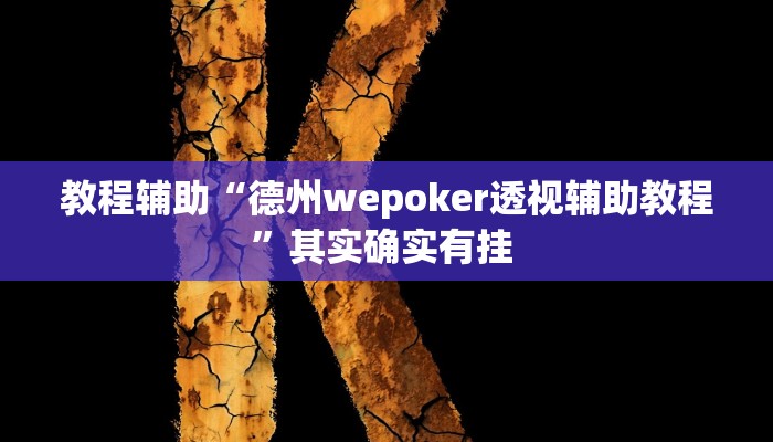 教程辅助“德州wepoker透视辅助教程”其实确实有挂 