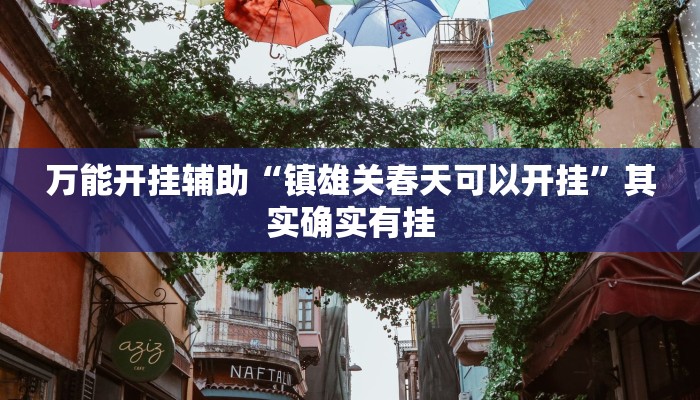 万能开挂辅助“镇雄关春天可以开挂”其实确实有挂
