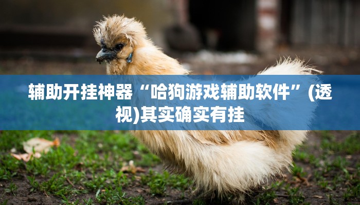 辅助开挂神器“哈狗游戏辅助软件”(透视)其实确实有挂