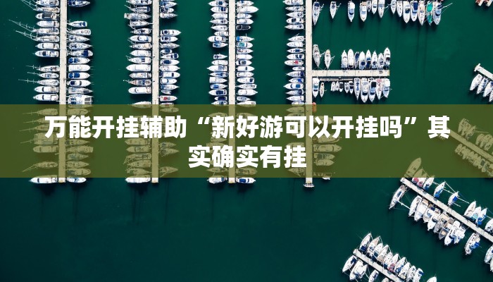 万能开挂辅助“新好游可以开挂吗”其实确实有挂 万能开挂辅助“新好游可以开挂吗”其实确实有挂