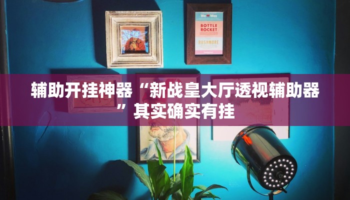 辅助开挂神器“新战皇大厅透视辅助器”其实确实有挂
