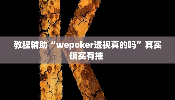 教程辅助“wepoker透视真的吗”其实确实有挂 
